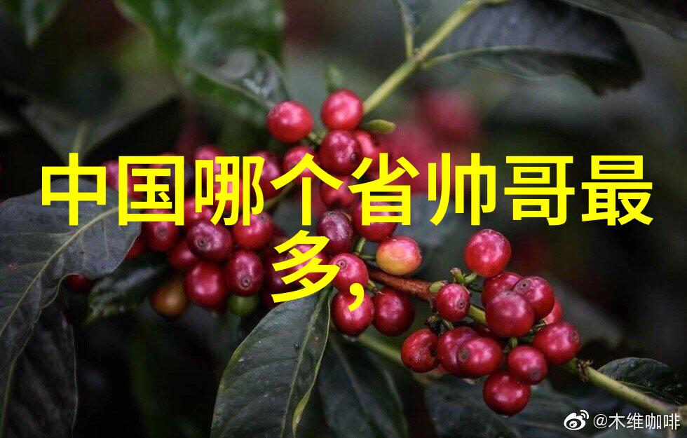 激情四射的狂躁美女探索BBBBBB背后的欲望与冲动