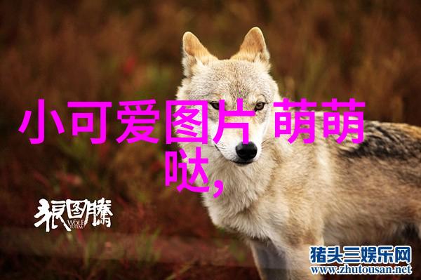 霸气网名推荐短小精悍的网络身份标识