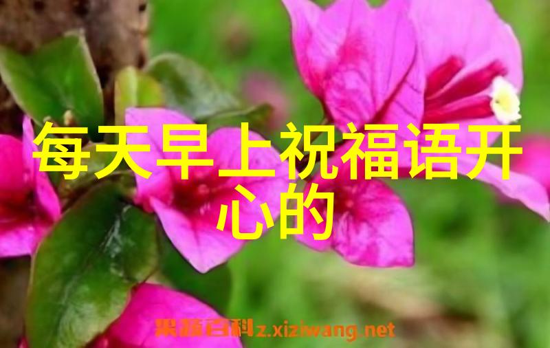 一张照片如何通过微笑展现人生哲理