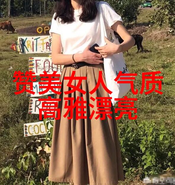 我们的节日丰富多彩的传统与现代庆典