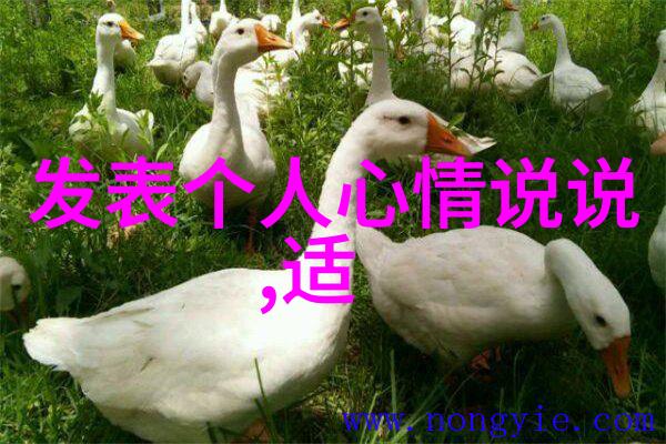 每天一句关心问候语你好我在想你每日关怀的温暖问候