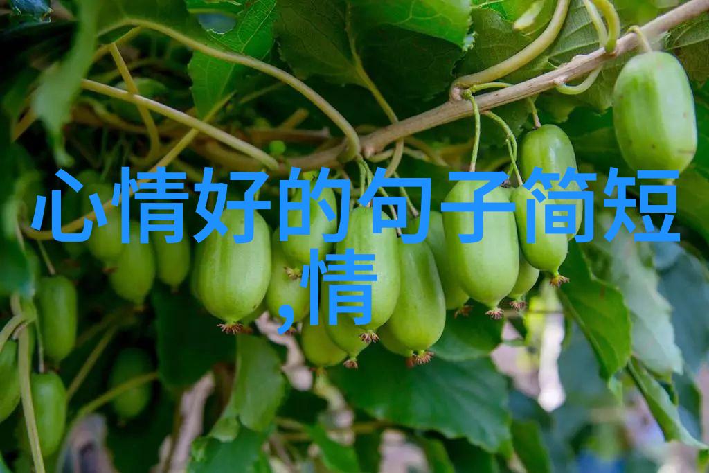 晨曦与暮色交响曲早安的反差画卷