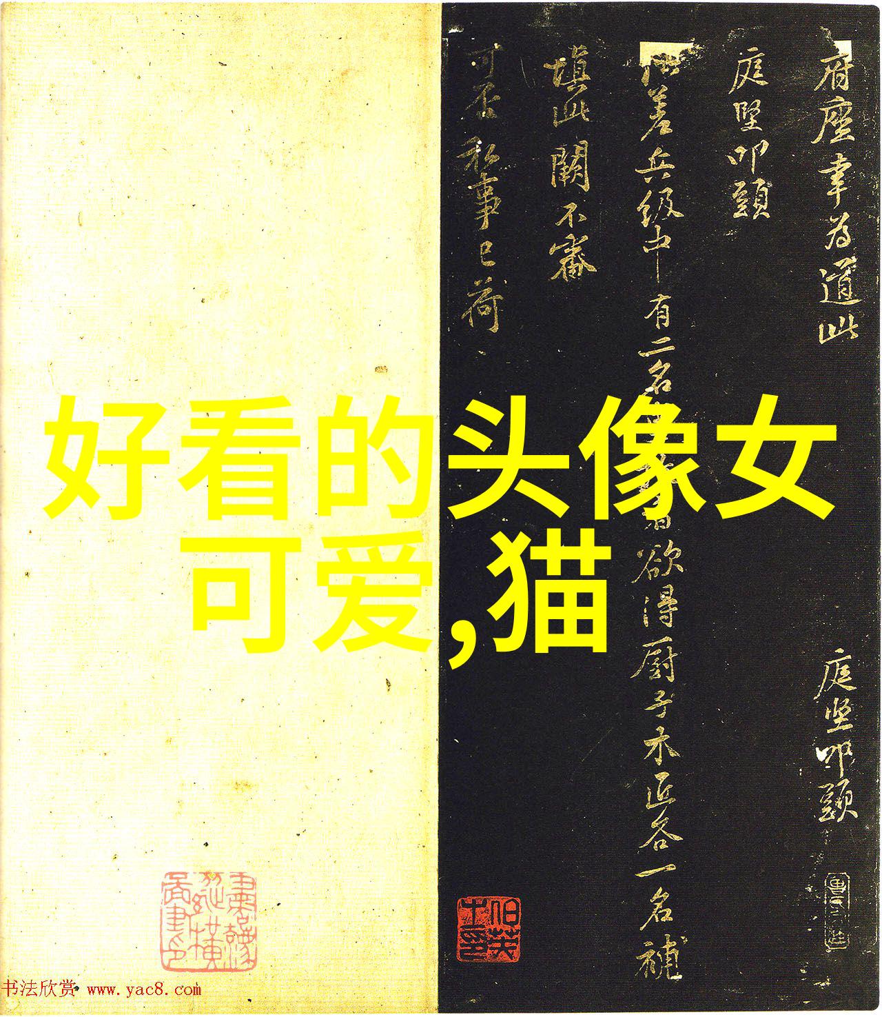 风华绝代一场关于梦想与成长的对谈