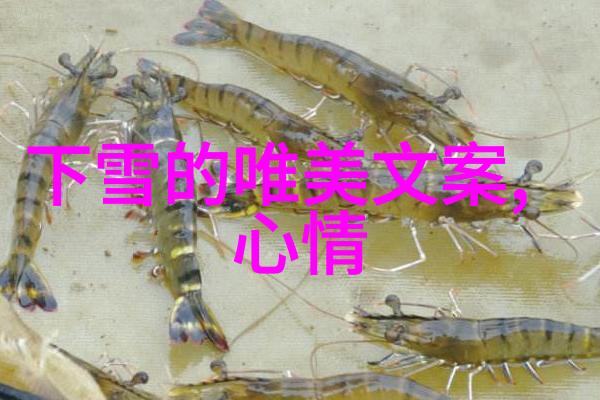 网红湾湾微博阿星被封后模仿者遭嘲讽混世直播主播谈臭虫行为