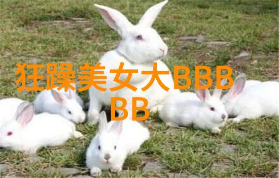 手写艺术-绘出心语探索Instagram上超火的文字壁纸
