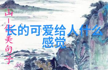 东方时尚驾校华丽驾驶体验