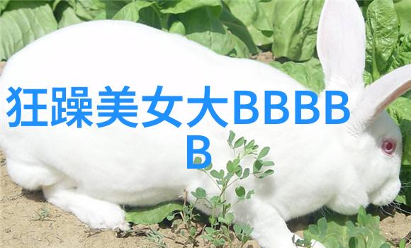 林允儿在生日之际捐赠自行编织的毛绒玩具给美少年学社让被终止保护的儿童感受到了温暖与希望