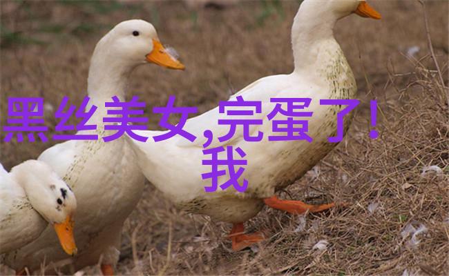 精致至简剖析那些简约却好看得不得了的动漫女生头像设计理念