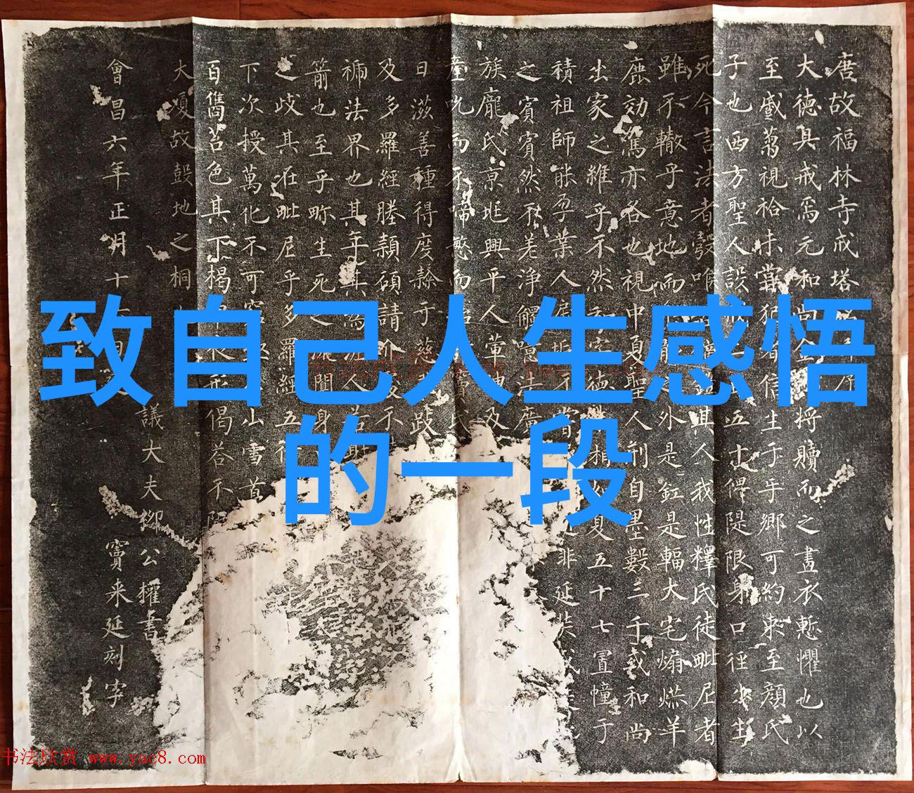 性格可爱女生的魅力温暖笑容与真诚举止