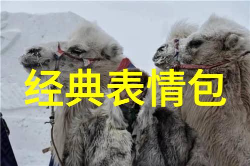 免费加群 - 无门槛的社交网络揭秘免费加群的魅力与挑战