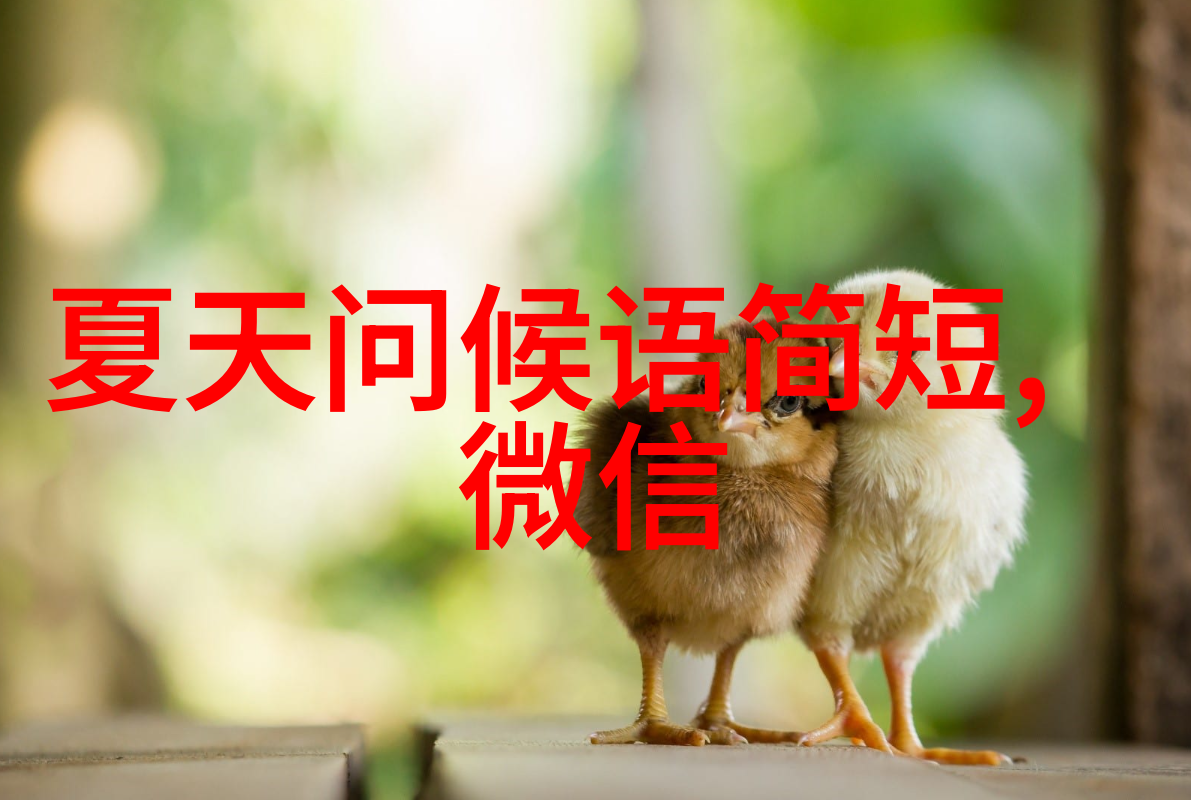 早安问候语的文化学与社会心理学探究一项跨世代研究