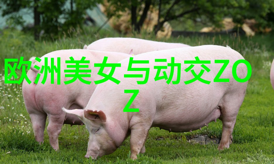 颓废非主流名字堕落伤感的社会网名经典