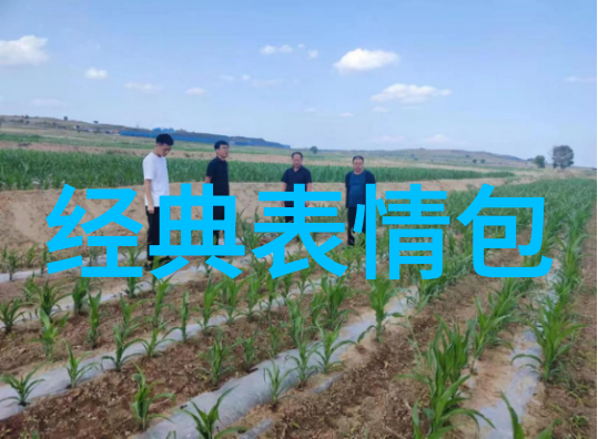 微信幽灵恐怖gif的无形力量
