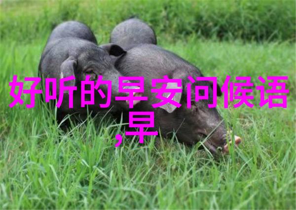 强迫症患者的心理缓解策略分享