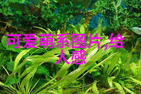 夜幕下的遥远飞行