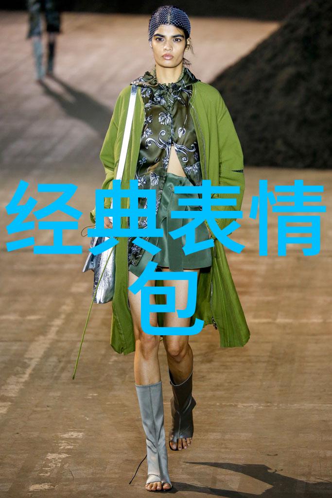 红毯之辉女明星的光芒与挑战