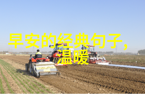 温暖的小小伴侣一只可爱狗儿的故事