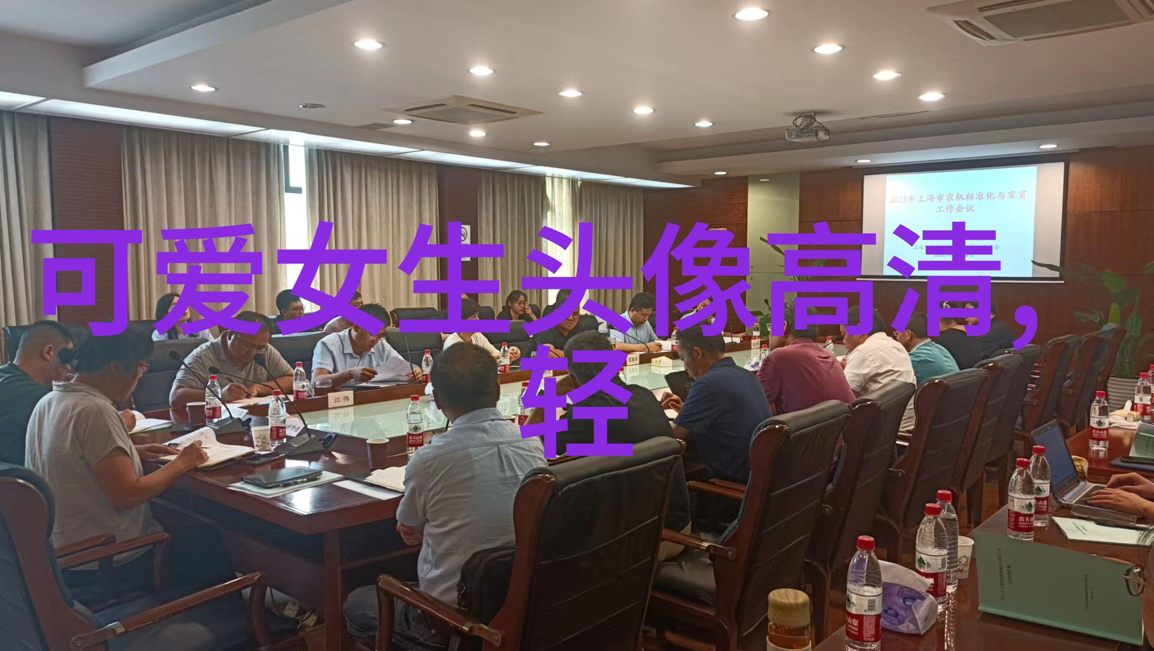 了解中国传统节日背后的故事以8000個漢字為基礎探討其文化意義