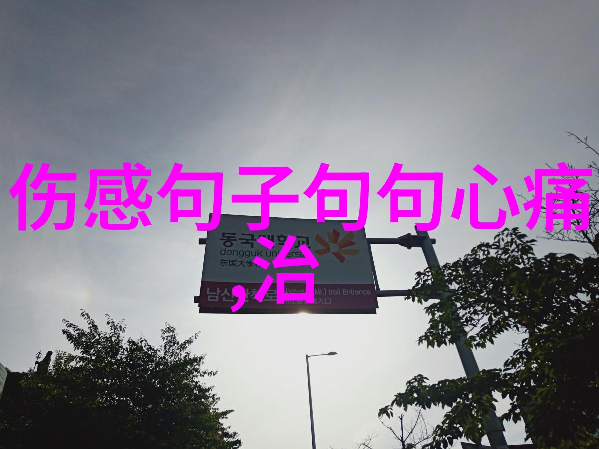星光下的禁忌梦境