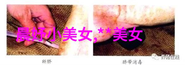 实时观看双人床上做的运动扑克 - 床上对决亲密空间中的体育挑战