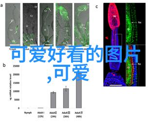 鬼畜全明星 - 超越界限的音乐奇迹鬼畜全明星的魔力之旅