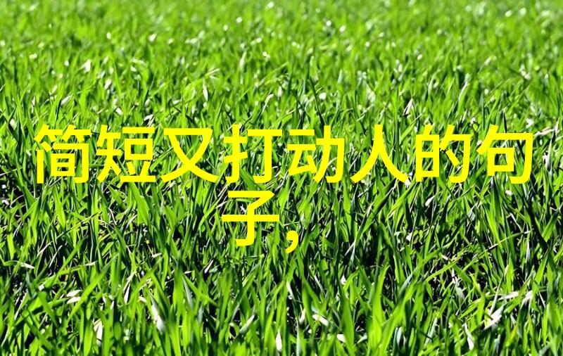 修心养心静心句子-内省之路寻找心灵的宁静