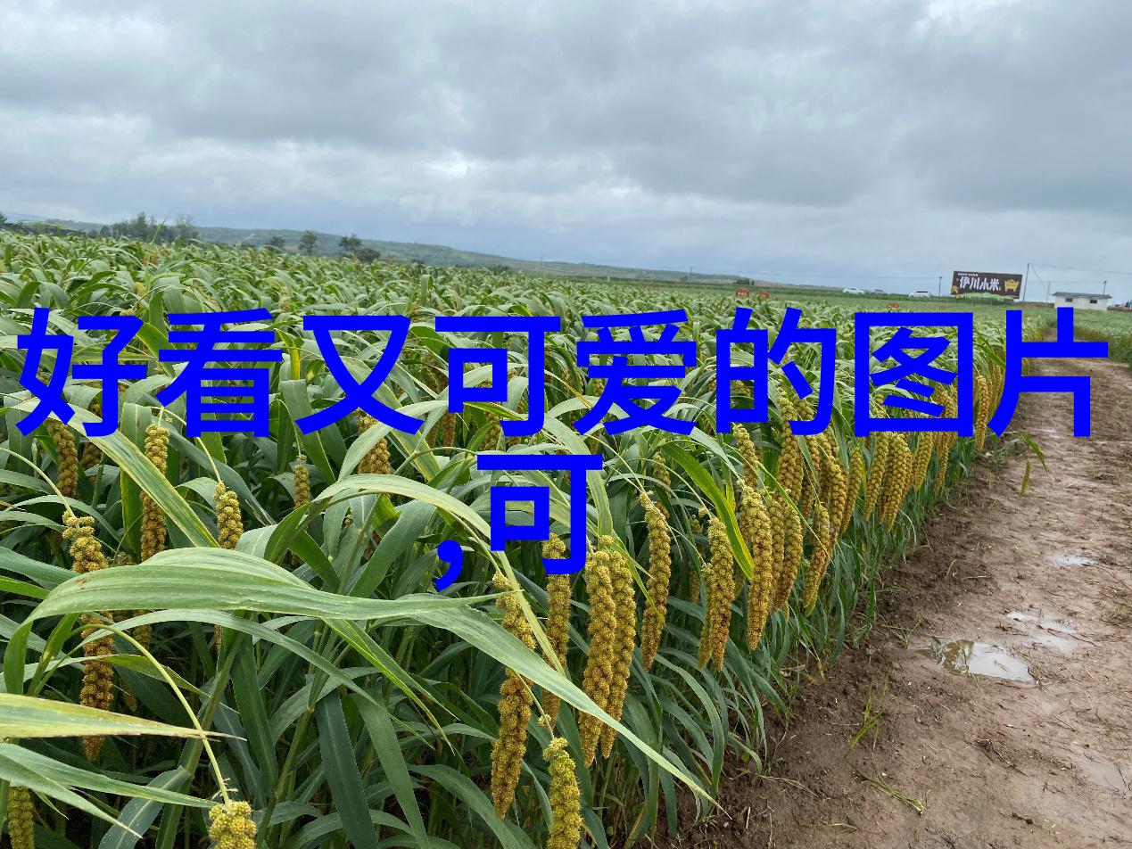 综艺童话中的怦然心动20岁易梦玲闪亮登场