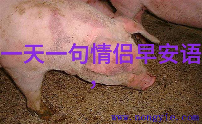 奇幻故事-芝麻女孩的恐怖画像穿越古老图像的诅咒