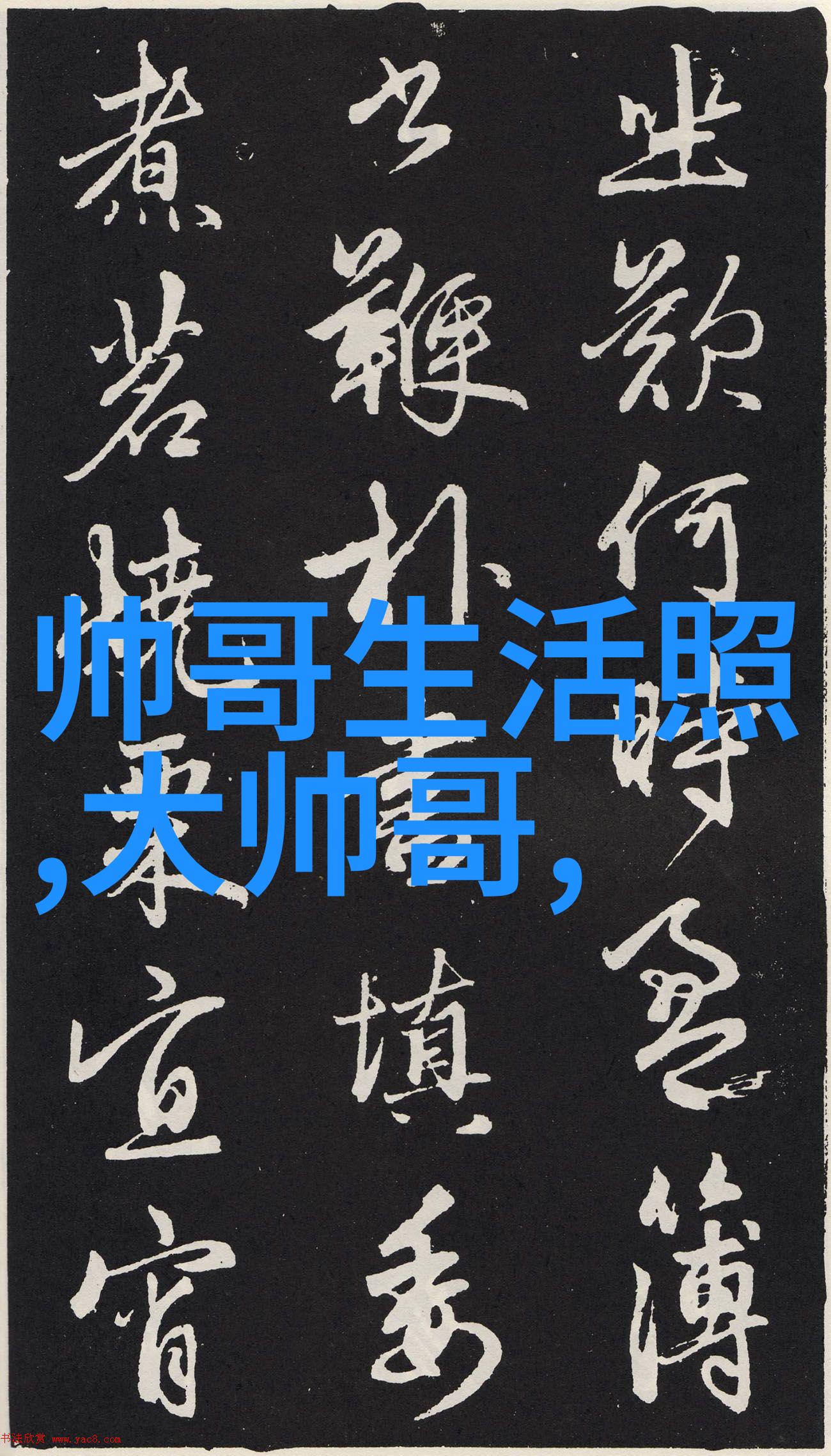 妖精养成系统神秘的动物寄生与精灵伙伴