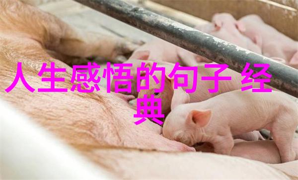 超浪漫情侣网名甜蜜编织的爱情故事