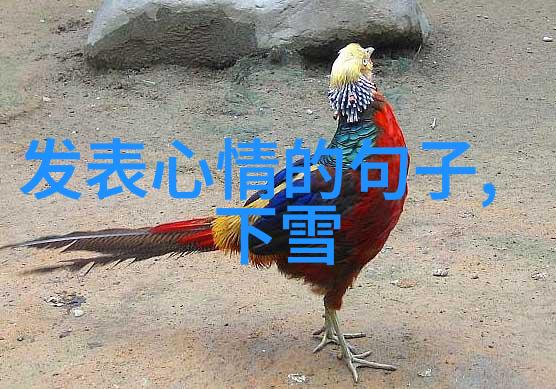 在虚拟世界里我们如何真正地帮助那些看似心累的友人