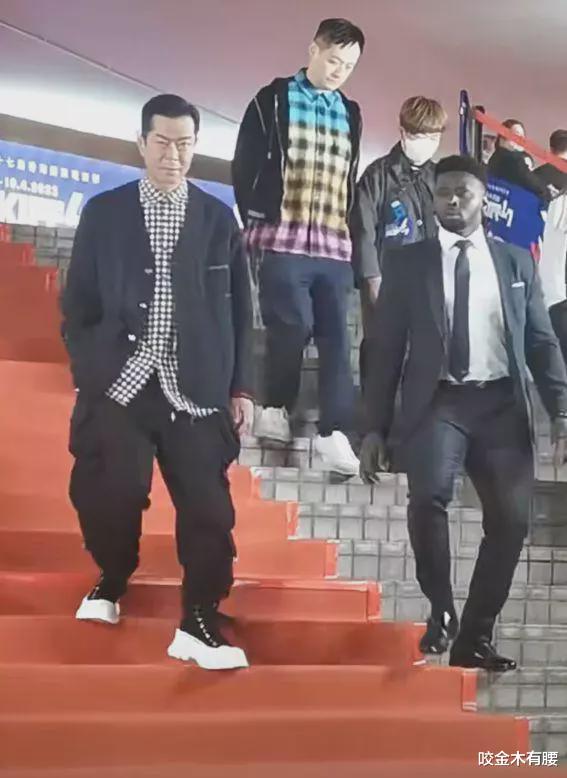 卡通版三梦奇缘空降神偷奶爸4惊喜背后的艺术碰撞与情感共鸣