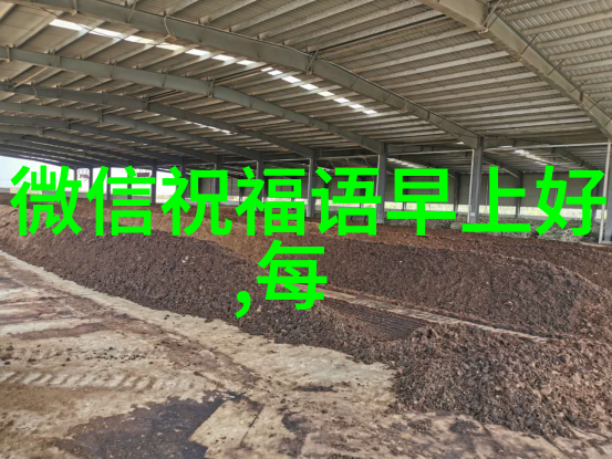 内地之光王轩子