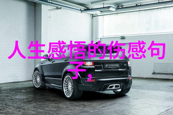 我觉得他是最帅的男明星他的笑容能照亮整个屏幕