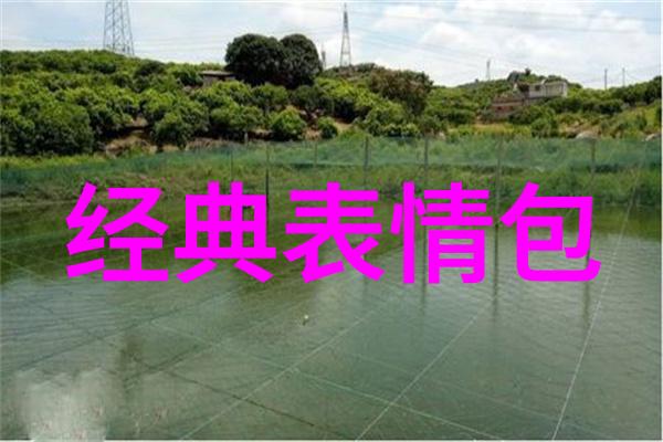 我和混血帅哥的故事我的意外邂逅那个天使般的混血帅哥