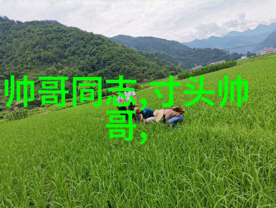 爆料社群热闹非凡免费加入享受吃瓜乐趣