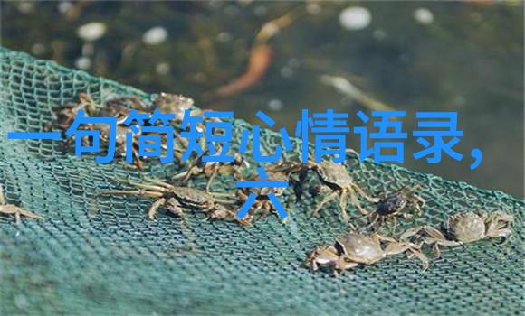 你是否已经偏离了爱的轨道迷失在追求另一个人的专属名字中