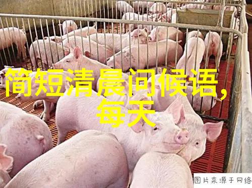 平稳起伏背后的剧本编写创作一场意想不到的情感波澜