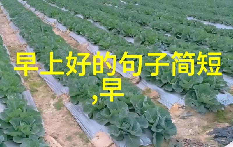 春日暖阳下的卡通世界2023年可爱图画的魅力