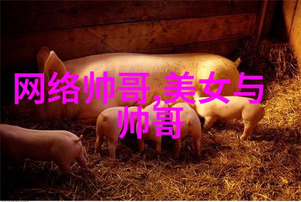 团队协作的四人行者创意与梦想的共鸣