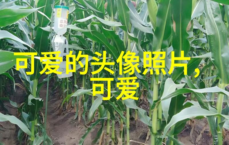 清新时尚探索干净好看文字图片的艺术魅力