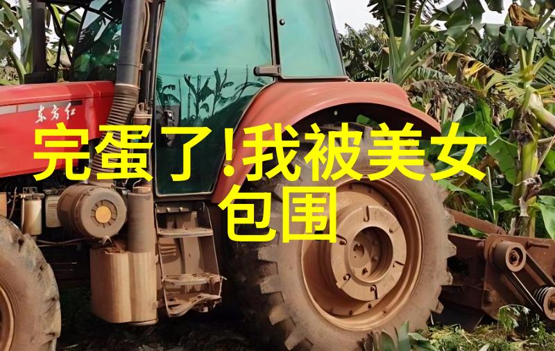 苗族节日云雾中的舞蹈