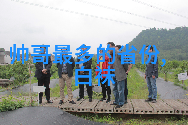 心情舒畅的日子阳光洒满了温暖的笑容