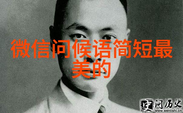娱乐圈-男明星的光环与挑战从红毯到幕后