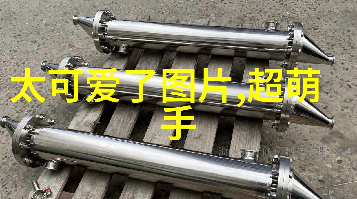 甜心派对守护甜心的国语乐趣