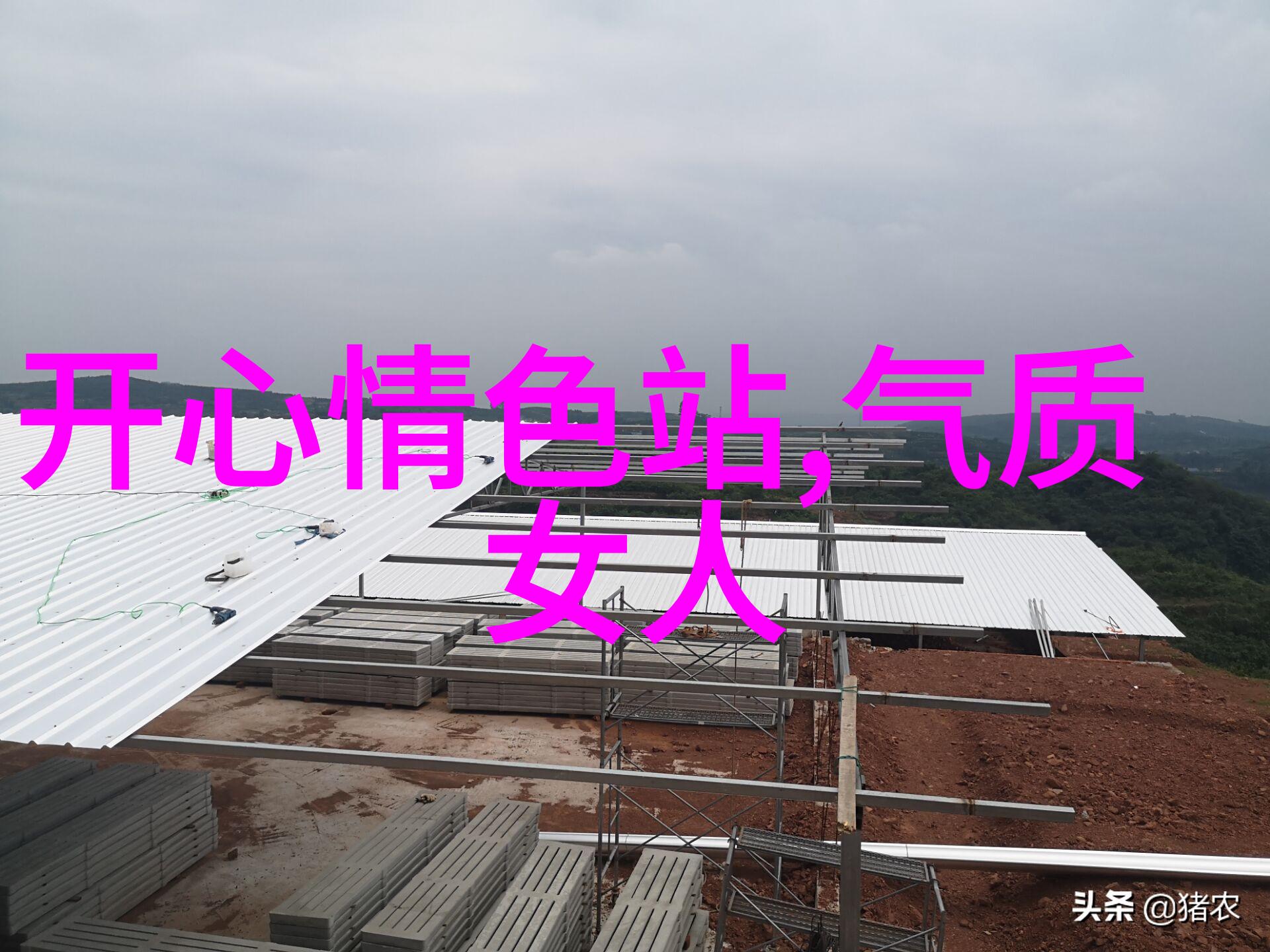 明星大侦探的五重迷局