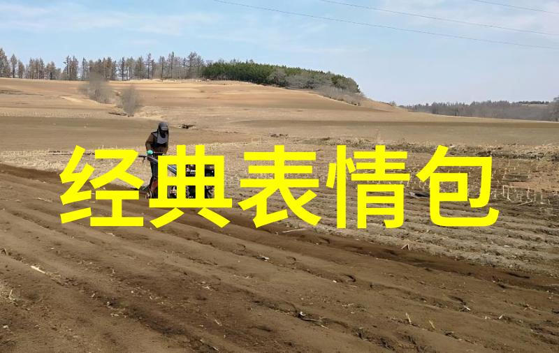 带字图片大全最新-探索数字艺术的新纪元带字图片大全最新作品展