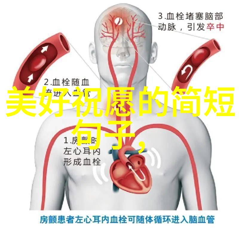 我守在边防线上心中有座坚壁清野的智慧