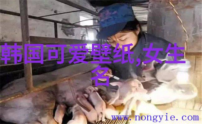 汉字故事古今中外的汉字文化