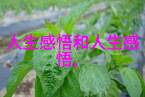 心灵触动者揭秘最简单却深刻的话语